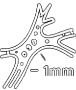 usp-icon